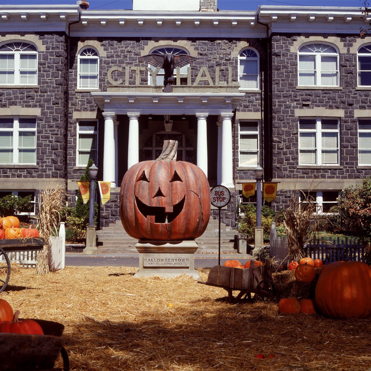 Download Uncover Shocking Halloweentown Behind The Scenes Secrets