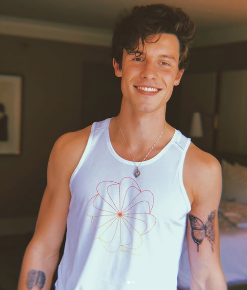 Shawn Mendes Tattoos Guide To His Ink Designs And Meanings