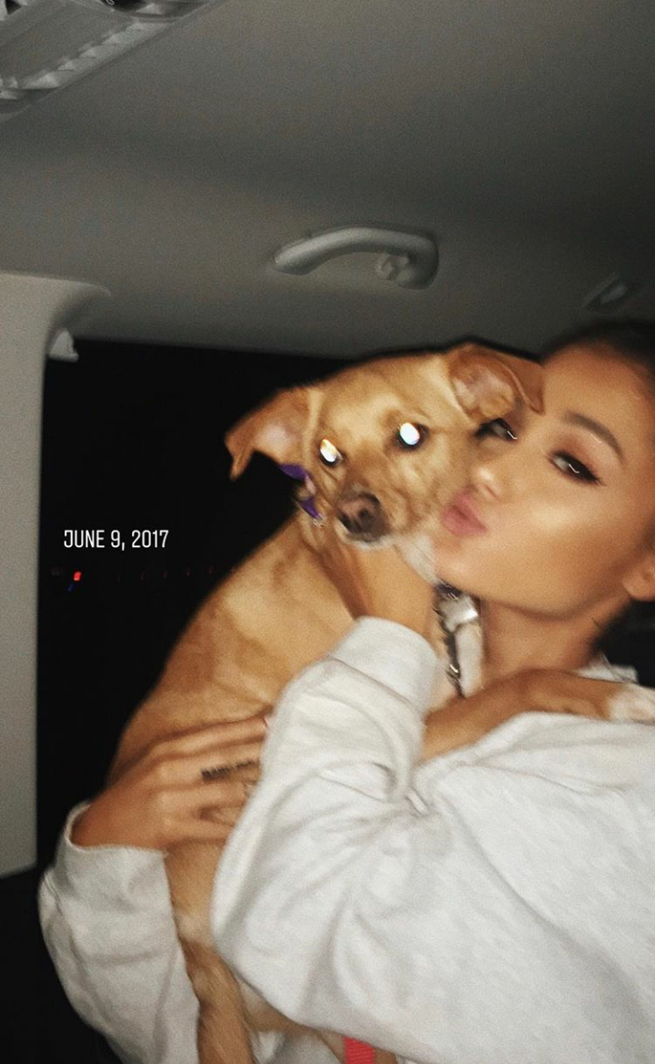 Ariana Grande Pets Complete Guide to Her Dogs and Pig, Photos