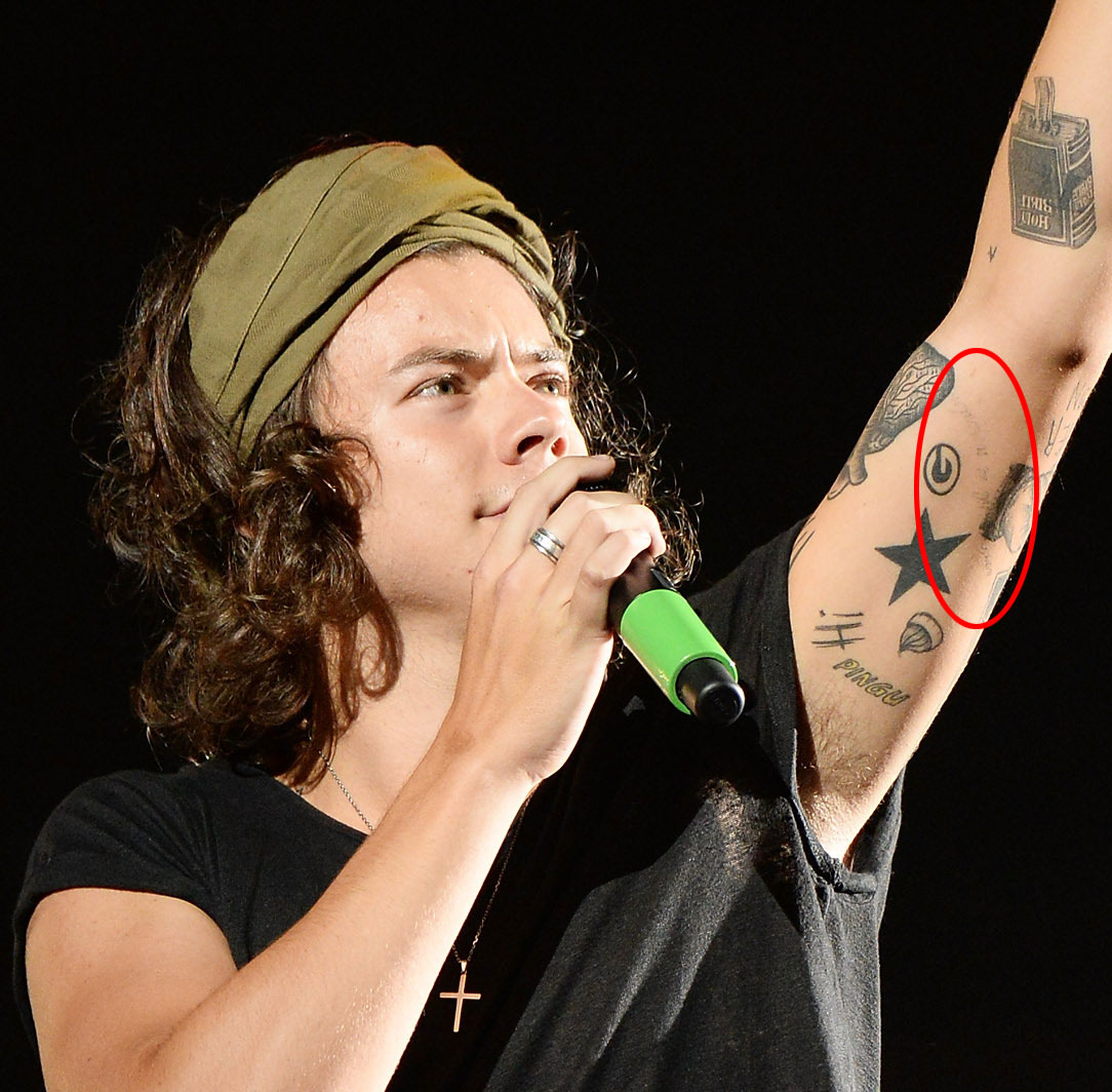 Harry Styles' Tattoos Guide To His Ink And Their Meanings