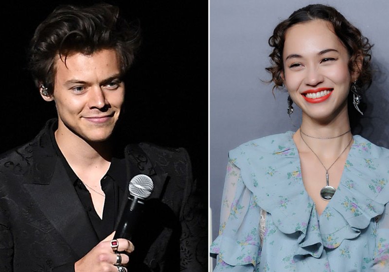 Who Is Kiko Mizuhara? - Facts About Harry Style's Rumored Girlfriend