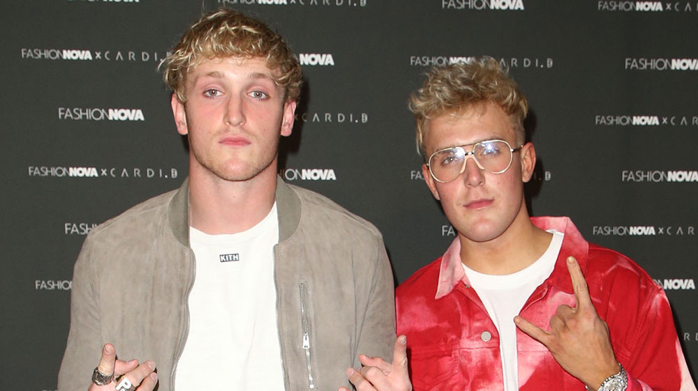 What Logan And Jake Paul Are Up To After Youtube Fame J 14 8573