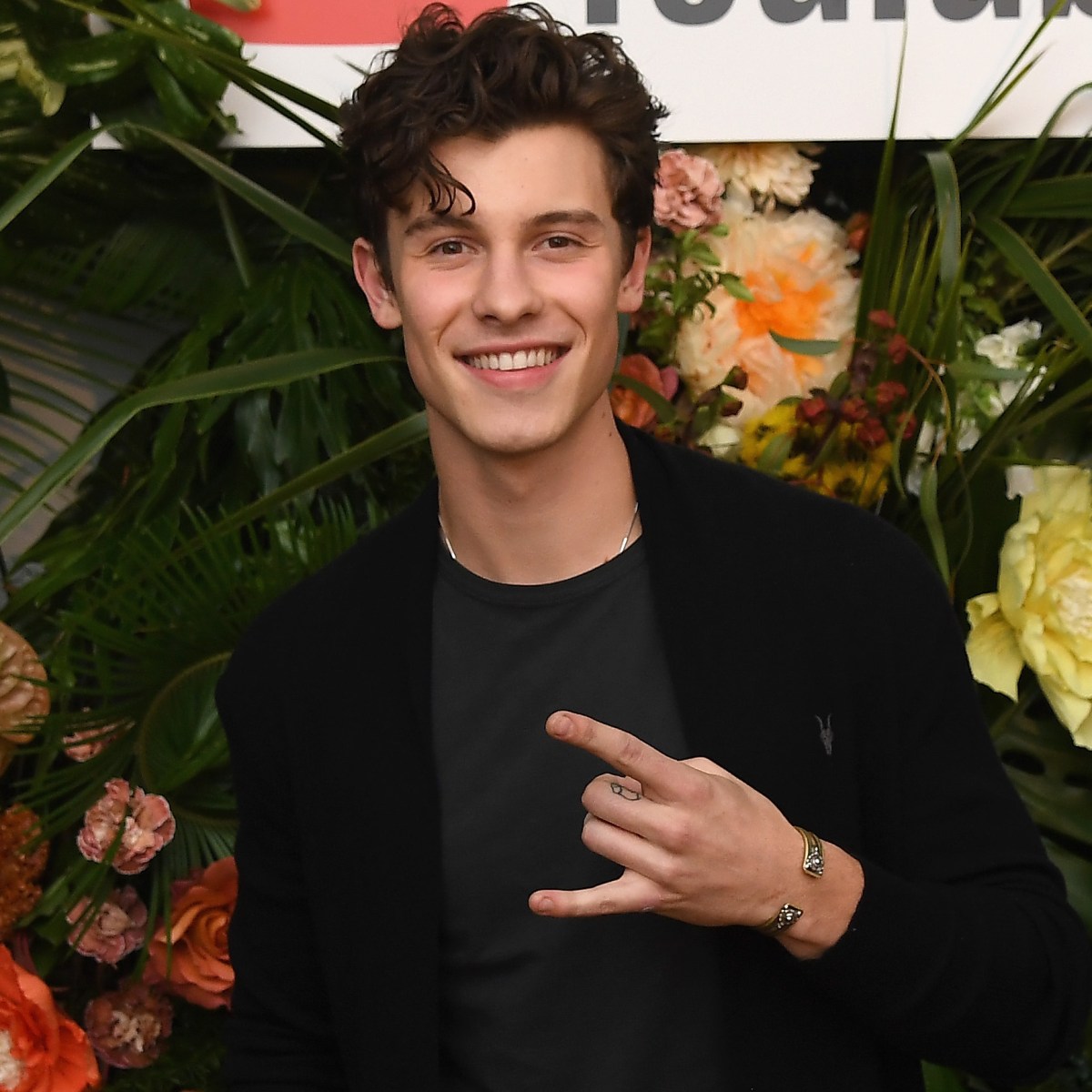 Shawn Mendes Girlfriend A Breakdown Of The Singers Love Life