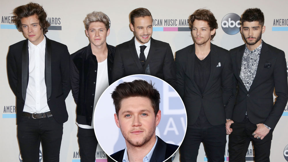 Voice' Fans Are Left Upset with Niall Horan After His Disappointing Move