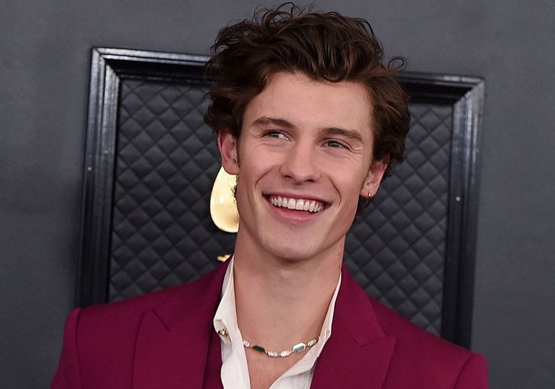 shawn mendes look the star tradução｜การค้นหา TikTok