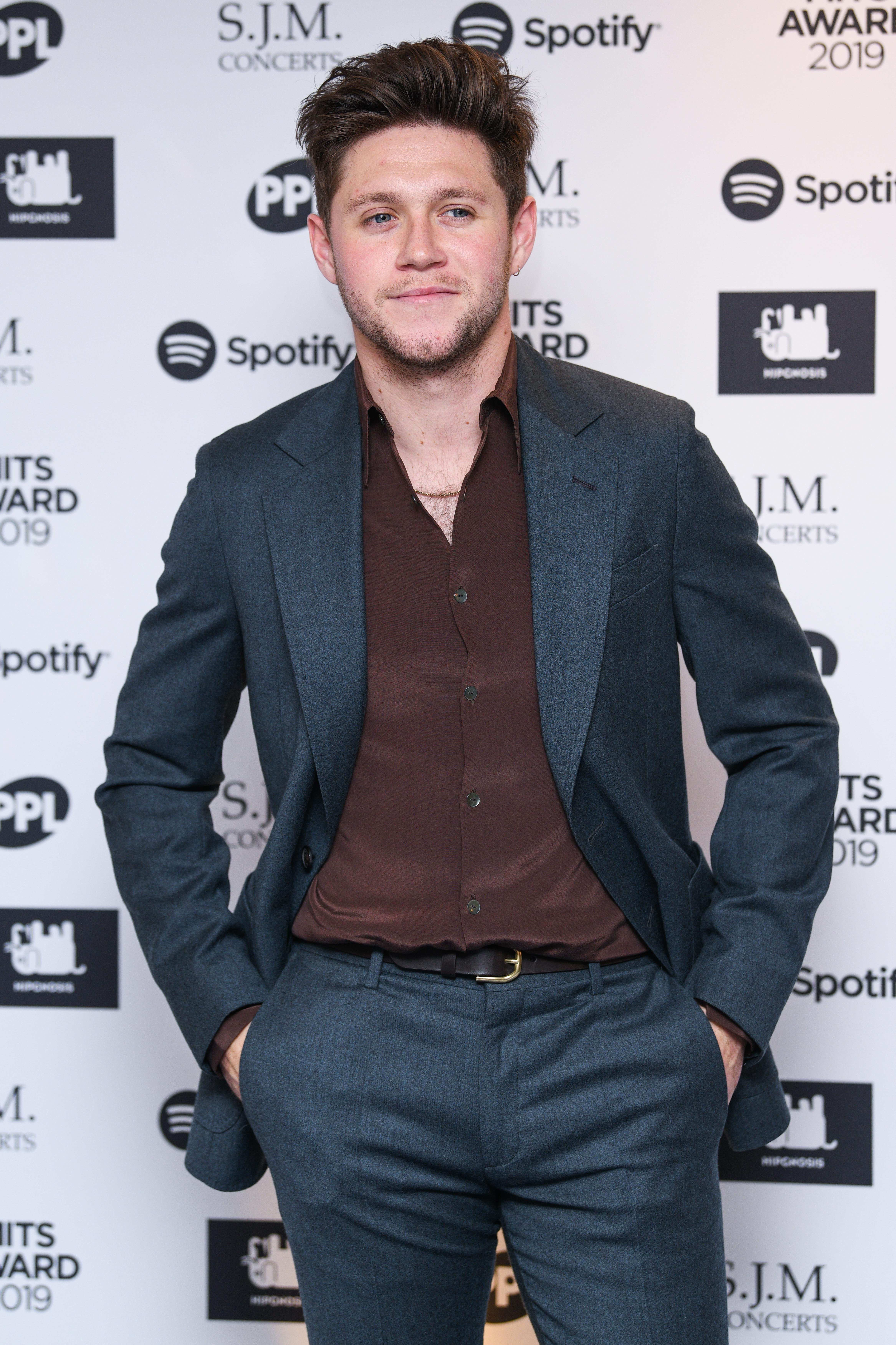 Niall Horan Teases 3rd Solo Album: Details on New Music