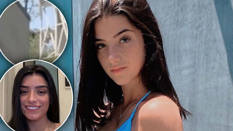 Dixie D Amelio Speaks Out After Figure Seen Behind Sister Charli J 14