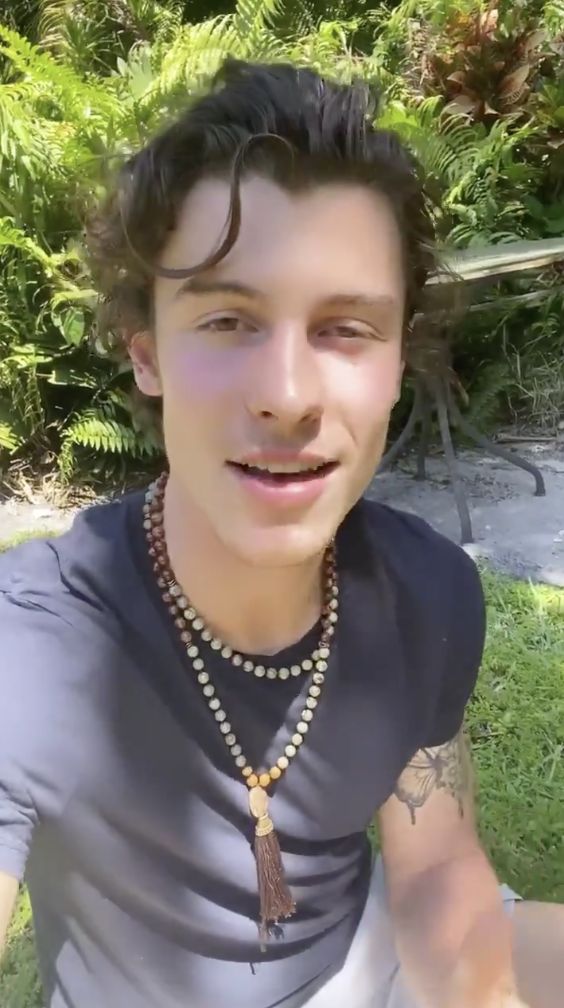 Shawn Mendes Long Curly Hair: Coronavirus Quarantine Look, Photos