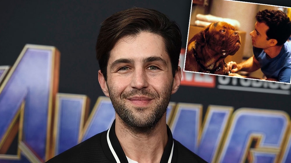 Josh Peck Will Make His TV Return in 2021: What to Know About 'Turner & Hooch'