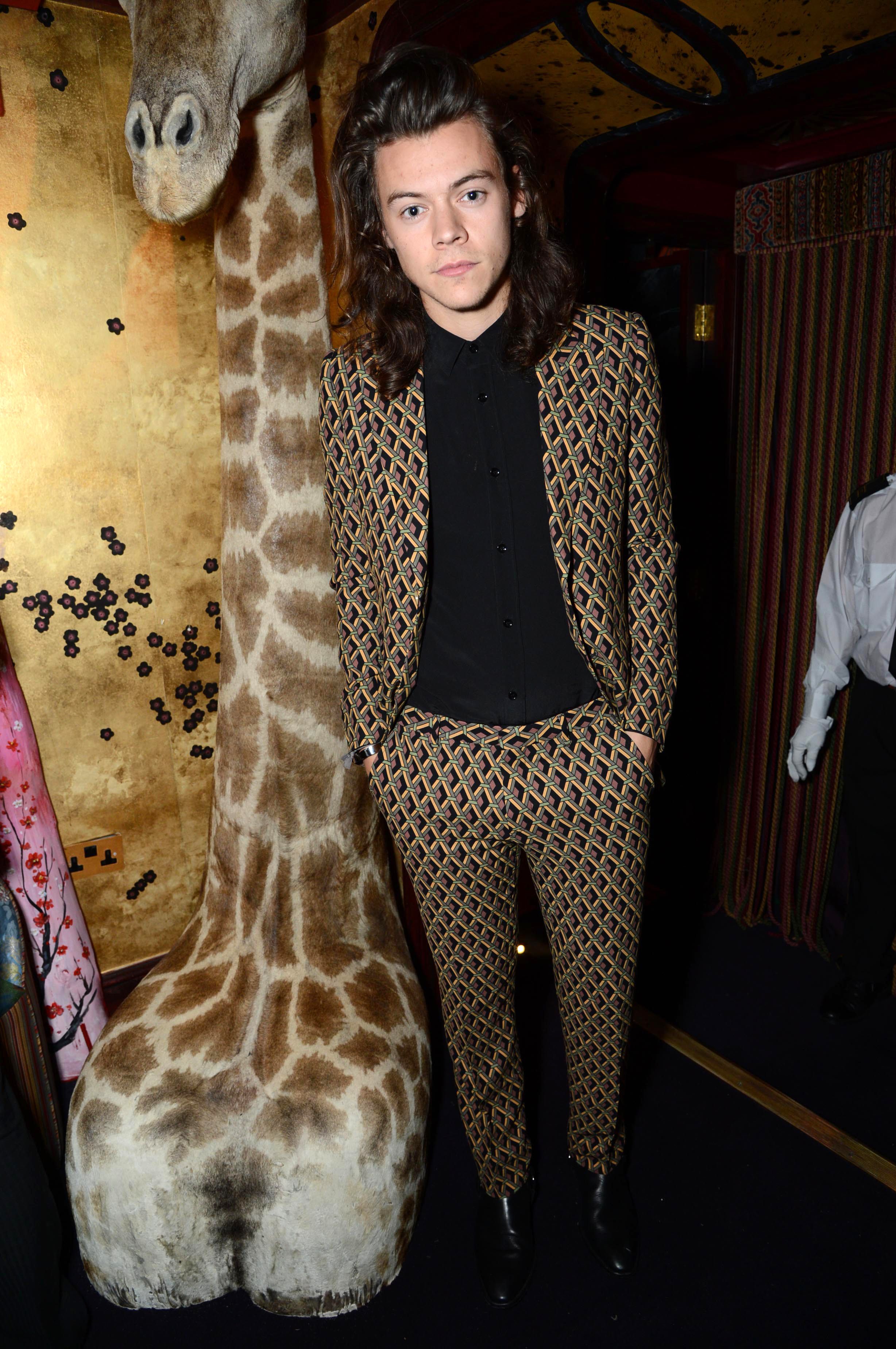 Harry Styles' Best Fashion Moments: See Photos