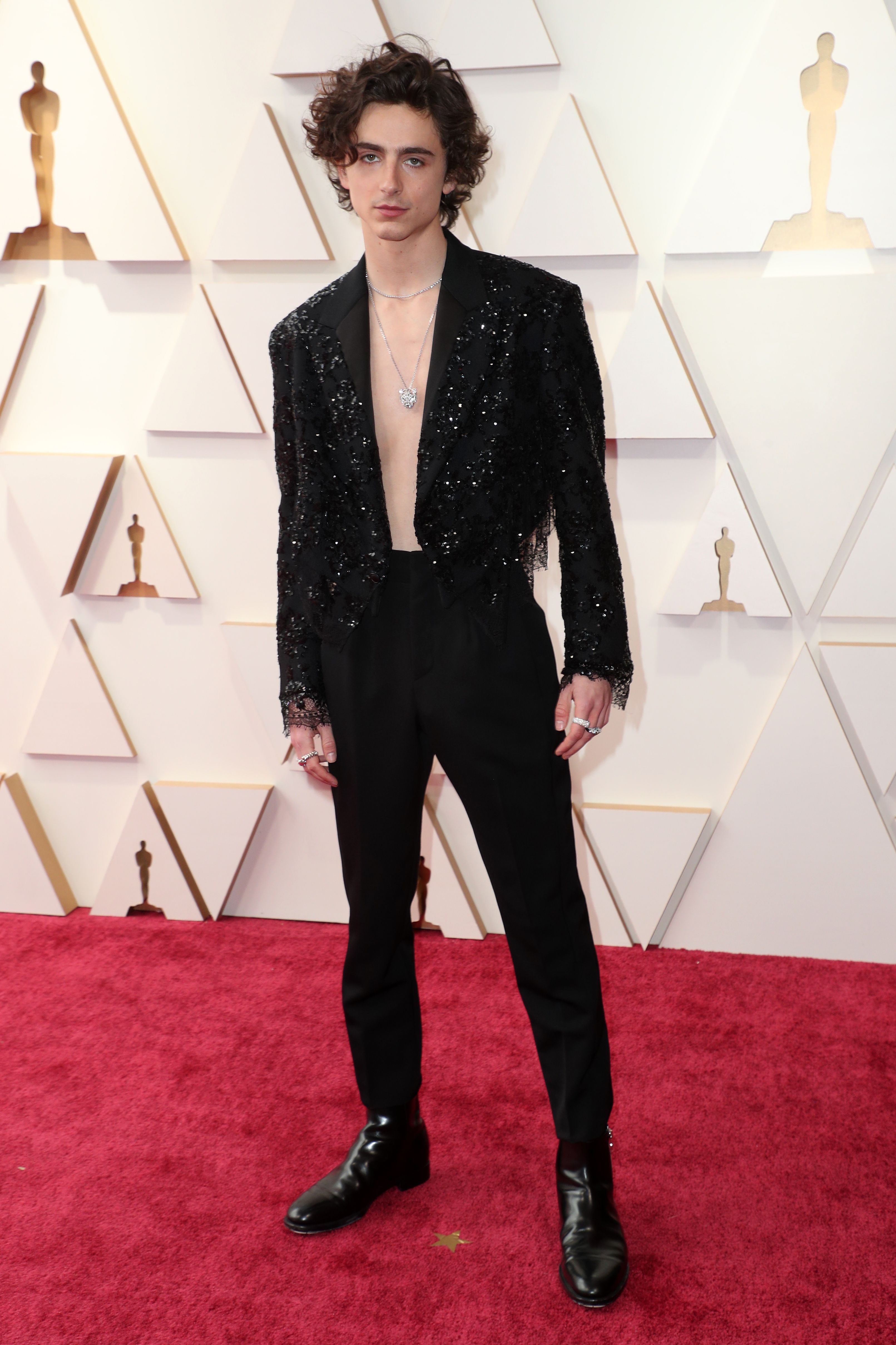 Timothee Chalamet Red Carpet Photos: Actor's Hottest Moments