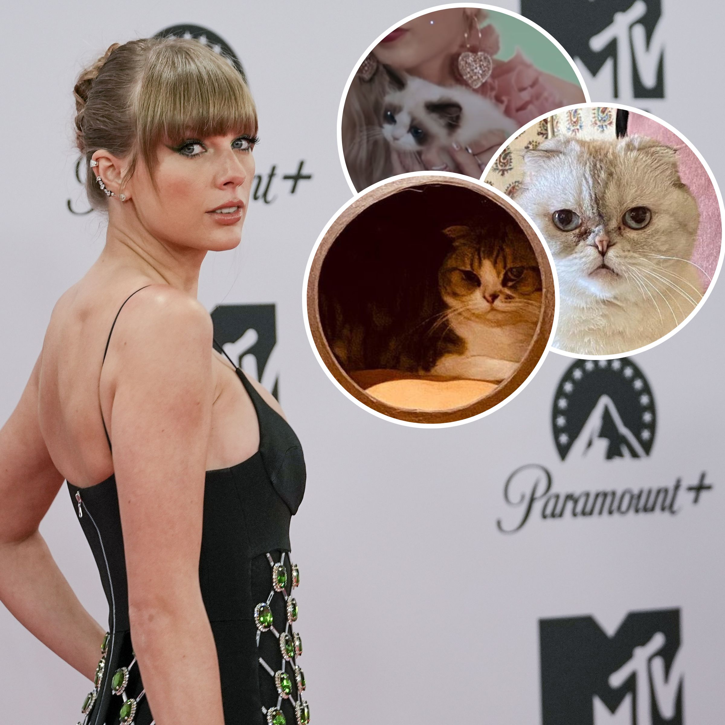 A Guide to Taylor Swift's Cats: Meredith Grey, Olivia Benson and Benjamin Button