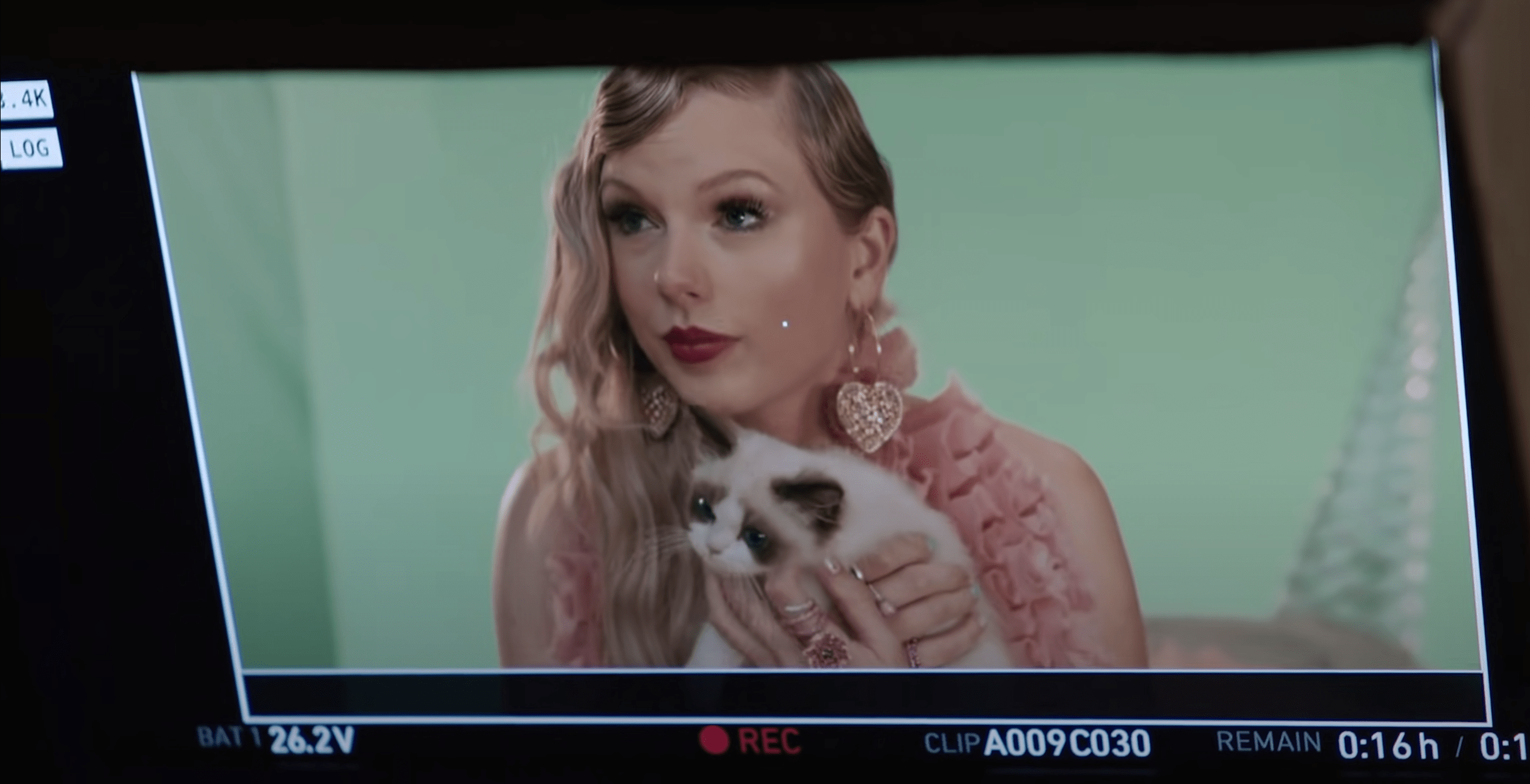 Taylor Swift Cats Guide Names Net Worths Photos 