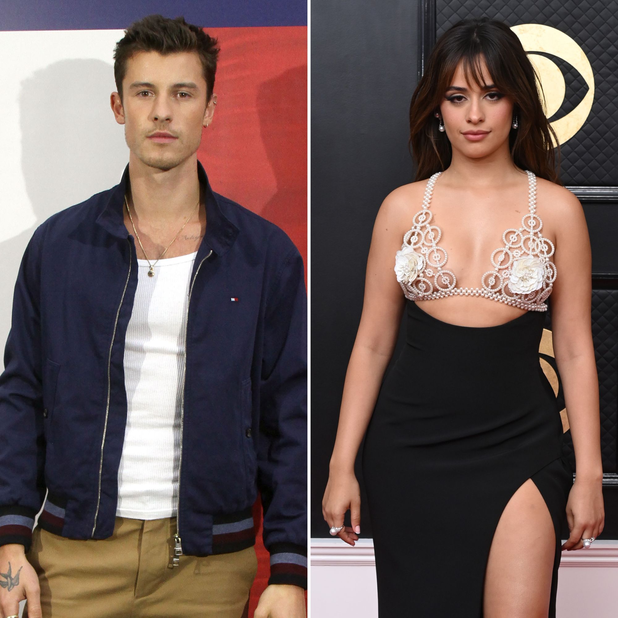 Shawn Mendes Dating Updates After Camila Reconciliation