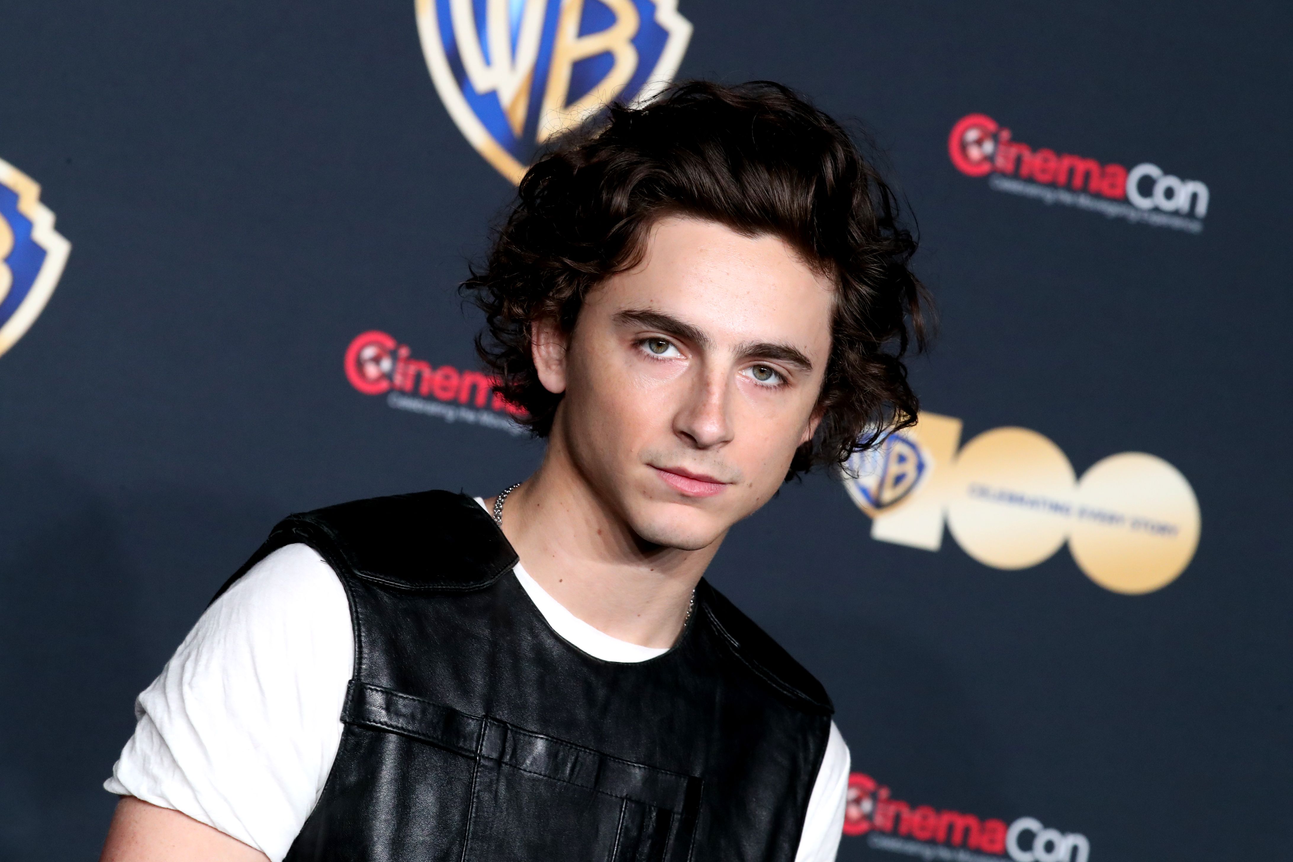 Timothee Chalamet Broadway Rumors Explained: Fan Speculation