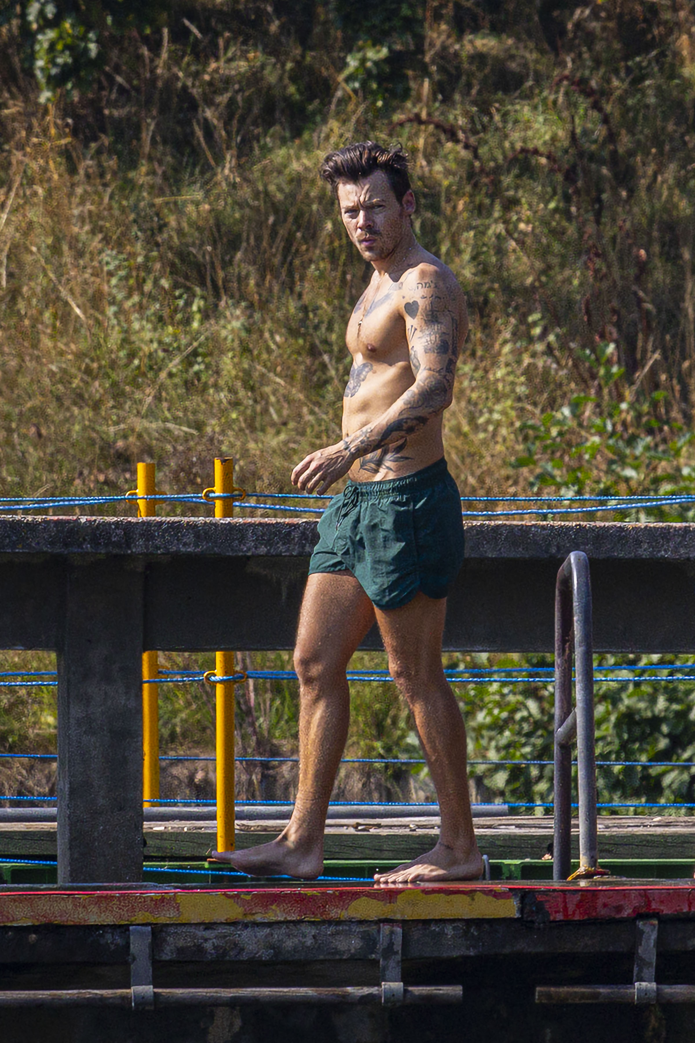 Harry Styles Shirtless Photos: The Singer's Toned Abs